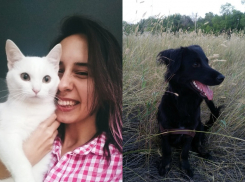 Онлайн-сервис для подбора кошек и собак из городских приютов создала 23-летняя волгоградка