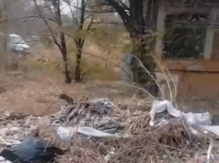 Неприятно находиться: в Волгограде у остановки образовалась свалка 