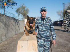 В Волгоградской области не хватает полицейских и кинологов