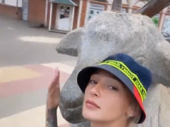 Настю Ивлееву обвинили в разрушении памятника козе в Урюпинске