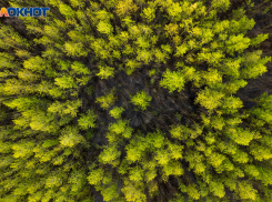 Об обострении непогоды в Волгоградской области предупредил Роман Вильфанд