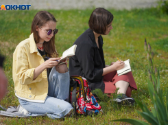 До +33 градусов жары: погода в Волгоградской области на 25 июня