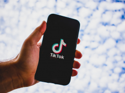 Сколько стоит стать звездой TikTok, посчитали в Волгограде