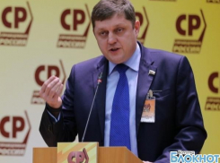 Депутат Госдумы Олег Пахолков предложил ликвидировать в аэропортах ВИП-залы для чиновников