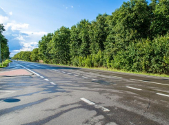 Водитель Renault Logan протаранил большегруз в Волгоградской области: 2-летний ребенок умер на руках у врачей скорой 