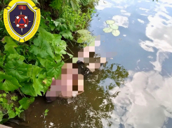 Тело мужчины затянуло на глубину 6 метров на коварной Медведице под Волгоградом