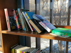 Волгоградцам пообещали библиотеки с кафетериями и туалетами