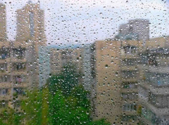 В Волгоградской области в ближайшие три дня ожидаются дожди с грозами