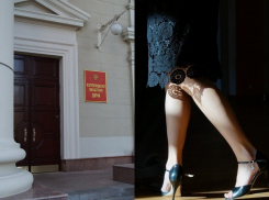 Изотермический фургон и 41 млн рублей: доходы трех самых богатых жен депутатов Волгоградской облдумы