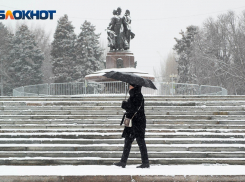Волгоградцам предсказали теплую зиму