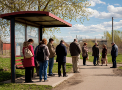 «Мы доведены до отчаяния»: единственную маршрутку отменили в селе под Волгоградом 