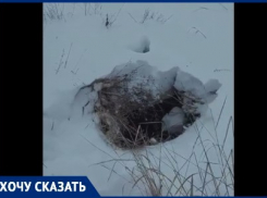 О смертельной опасности для детей под снегом рассказала жительница Городище