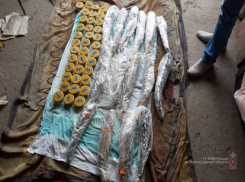 Черную икру незаконно продавала волгоградцам банда из 24 человек