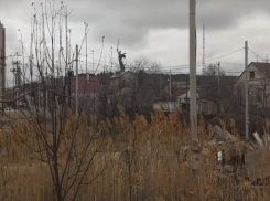 Волжанин снял свою правдивую версию туристического Волгограда