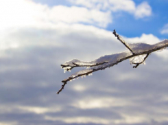 Теплое воскресенье снова вернулось в Волгоград