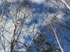 До рекордных +18 градусов потеплеет в Волгоградской области 11 апреля