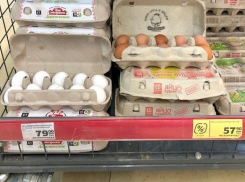 В Волгограде подешевели тепличные огурцы, яйца и мясо