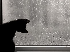 В Волгограде будет тепло и пасмурно