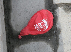 Где меньше всего любят «Единую Россию», выяснили на праймериз