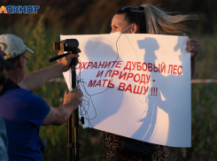 Саженцы взамен вырубленных дубов вымерзли в Волго-Ахтубинской пойме: обещали 400 тысяч