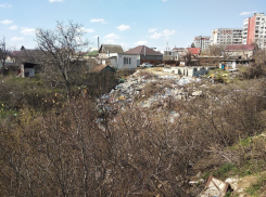 Превращение зеленой балки в отвратительную помойку попало на видео в Волгограде