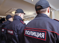 Под Волгоградом обиженная женщина дважды ударила полицейского