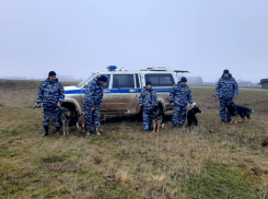 В поле под Волгоградом нашли тело пропавшего  16-летнего подростка 