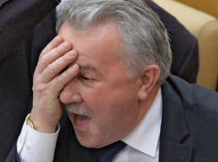 Самая успешная супруга среди депутатов Госдумы от Волгоградской области оказалась у Евгения Москвичева
