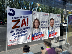 Агитацию «по-свински» затеяла «Единая Россия» в Волгограде