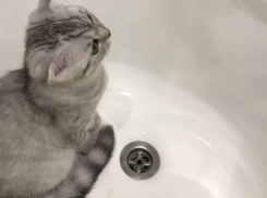 Жители Советского района Волгограда на день останутся без воды