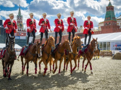 Наездники Кремлевской школы верховой езды выступят в Волгограде