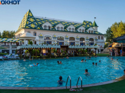 «Власти плевали на народ»: в Волгограде хотят найти теневой бизнес чиновников из-за сноса «Соснового бора»