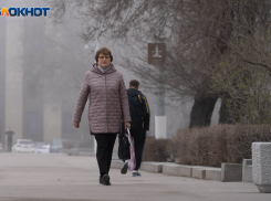 Тепло до +22 градусов и легкий дождь: синоптики о погоде в Волгоградской области