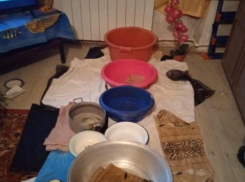  Волгоградцы сняли жуткую капель в квартире пенсионерки на видео: женщина плачет