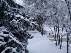 В Волгоградской области ожидается 20-градусный мороз
