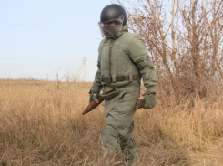 Триста саперов месяц разминировали поле под Волгоградом