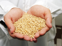 За год волгоградский коммерсант «сэкономил» более 28,5 миллионов налогов