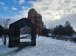 Мэрию Волгограда ткнули носом в позорный свинарник в центре города