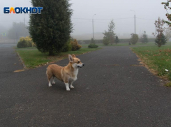 Погода в Волгограде все еще теплая