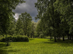 О дождливом и ветреном воскресенье говорят синоптики в Волгоградской области