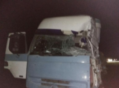 Среди пострадавших в смертельном ДТП в рейсовом автобусе Волгоград-Ставрополь есть дети