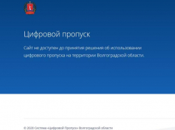  «Высока вероятность утечки персональных данных»: волгоградский активист о сайте по выдаче цифровых пропусков