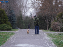 Гололед и сильный ветер ждут волгоградцев 8 Марта 