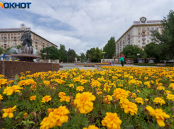 Прогноз погоды в Волгограде на 30 июля