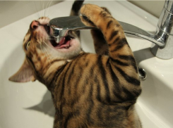 Почти сутки сидят без воды жители Кировского района Волгограда