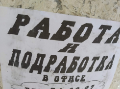 Волгоградская область вошла в двадцатку городов, перспективных для работы пенсионеров