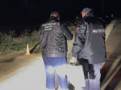 Пьяный на «семерке» насмерть сбил подростка под Волгоградом и трусливо сбежал