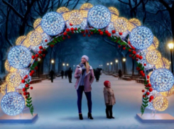 Арку к Новому году с британским растением покупают за 1,3 млн рублей в Волгограде