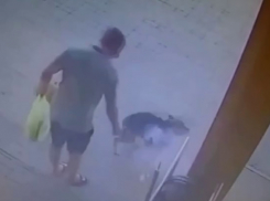 Мужчина в упор выстрелил в морду собаки — видео 
