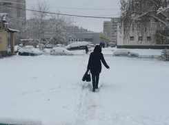 Машины-призраки чистят волгоградские дороги: горожане застряли в утренних сугробах